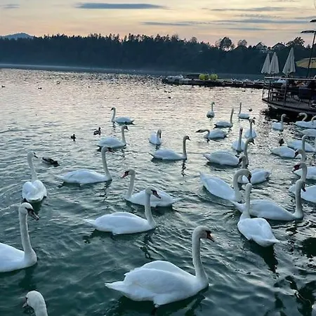 Little Heaven Apartment