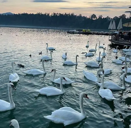 Little Heaven Apartment